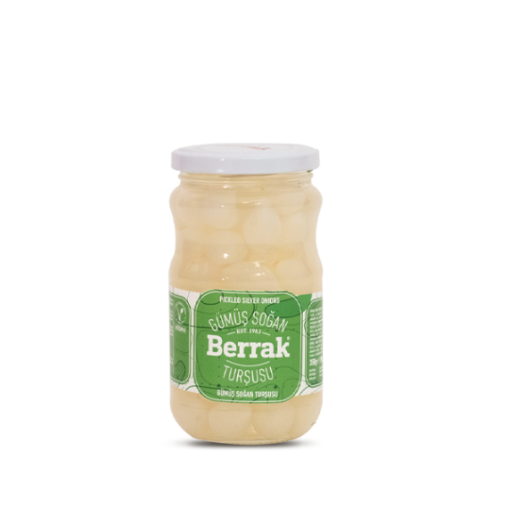 Gümüş Soğan 370 ml